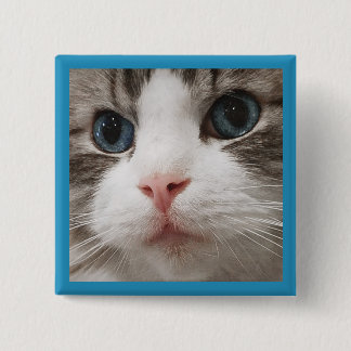 Bóton Quadrado 5.08cm Gatinho de Ragdoll