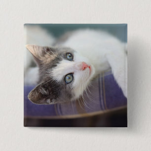 Bóton Quadrado 5.08cm Gatinho doce na cama da xadrez