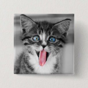 Bóton Quadrado 5.08cm Gatinho engraçado