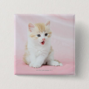 Bóton Quadrado 5.08cm Gatinho no fundo cor-de-rosa