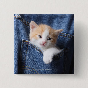 Bóton Quadrado 5.08cm gatinho no saco de jeans