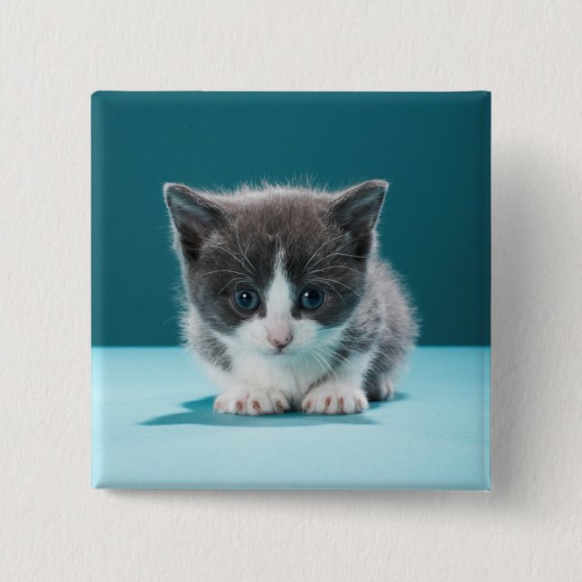 Bóton Quadrado 5.08cm Gatinho pequeno (Frente)