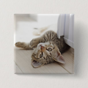 Bóton Quadrado 5.08cm Gatinho pequeno bonito