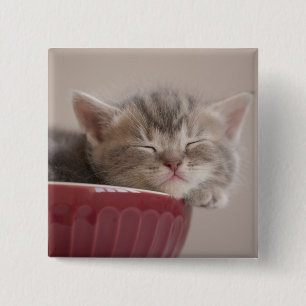 Bóton Quadrado 5.08cm Gatinho que dorme em uma bacia