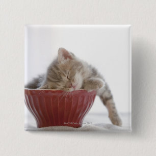 Bóton Quadrado 5.08cm Gatinho que dorme na bacia