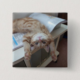 Bóton Quadrado 5.08cm Gatinho que relaxa