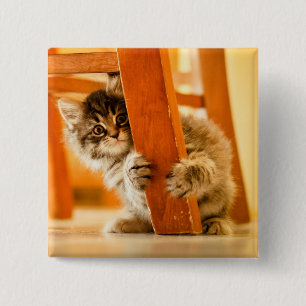 Bóton Quadrado 5.08cm Gatinho sob a cadeira