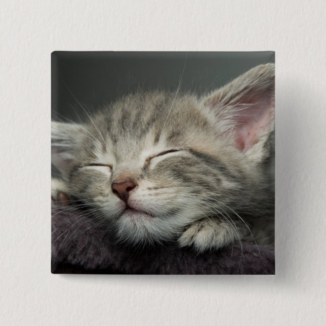 Bóton Quadrado 5.08cm Gatinho sonolento (Frente)