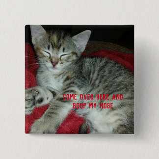 Bóton Quadrado 5.08cm Gatinho tabby cinza cutuca meu nariz
