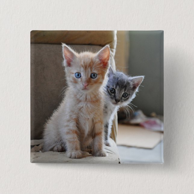 Bóton Quadrado 5.08cm Gatinhos curiosos (Frente)