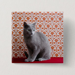 Bóton Quadrado 5.08cm Gato (azul do russo) e fundo do papel de parede