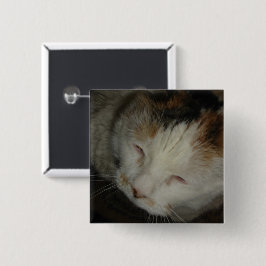 Bóton Quadrado 5.08cm Gato Calico Sonolento