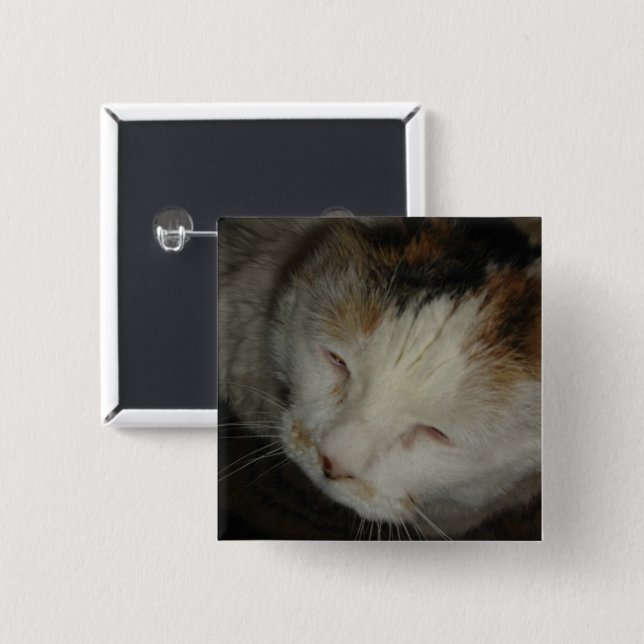 Bóton Quadrado 5.08cm Gato Calico Sonolento (Frente & Verso)