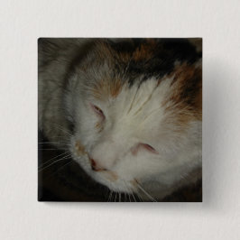 Bóton Quadrado 5.08cm Gato Calico Sonolento