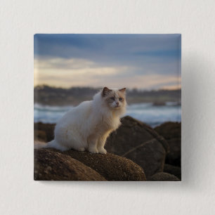 Bóton Quadrado 5.08cm Gato de Ragdoll na praia