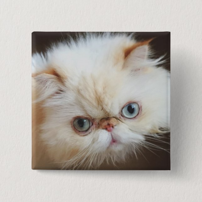 Bóton Quadrado 5.08cm Gato em uma caixa (Frente)