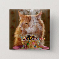 Gato Engraçado Com Cupcake De Aniversário Derretid