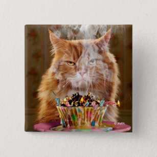 Bóton Quadrado 5.08cm Gato Engraçado Com Cupcake De Aniversário Derretid