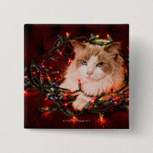 Bóton Quadrado 5.08cm Gato que senta-se em uma bola de luzes de Natal