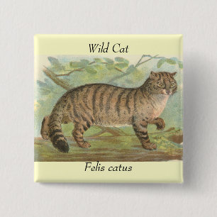 Bóton Quadrado 5.08cm Gato selvagem