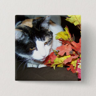 Bóton Quadrado 5.08cm Gato Tricolor Outono Folhas Botão