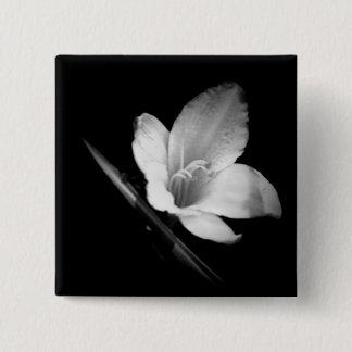 Bóton Quadrado 5.08cm Gelo de Lilly 1 botão