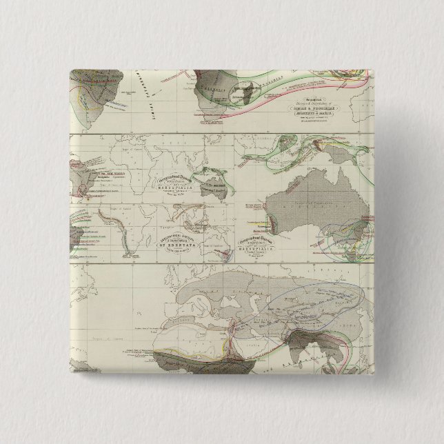 Bóton Quadrado 5.08cm Geografia zoológica (Frente)