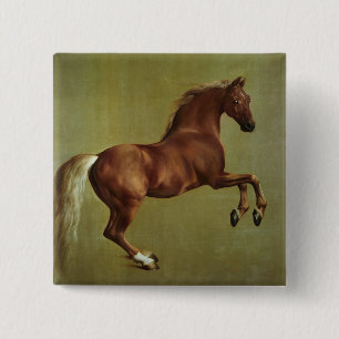 Bóton Quadrado 5.08cm George Stubbs  Casaco de assobio, 1762