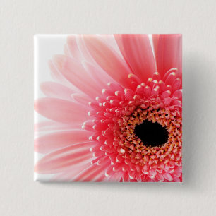 Bóton Quadrado 5.08cm Gerbera