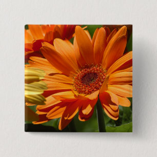 Bóton Quadrado 5.08cm Gerbera alaranjado