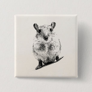 Bóton Quadrado 5.08cm Gerbils animais do animal de estimação da