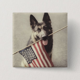 Bóton Quadrado 5.08cm German shepherd com Sinalizador dos EUA