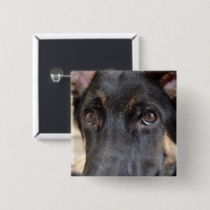 Bóton Quadrado 5.08cm German shepherd por Shirley Taylor