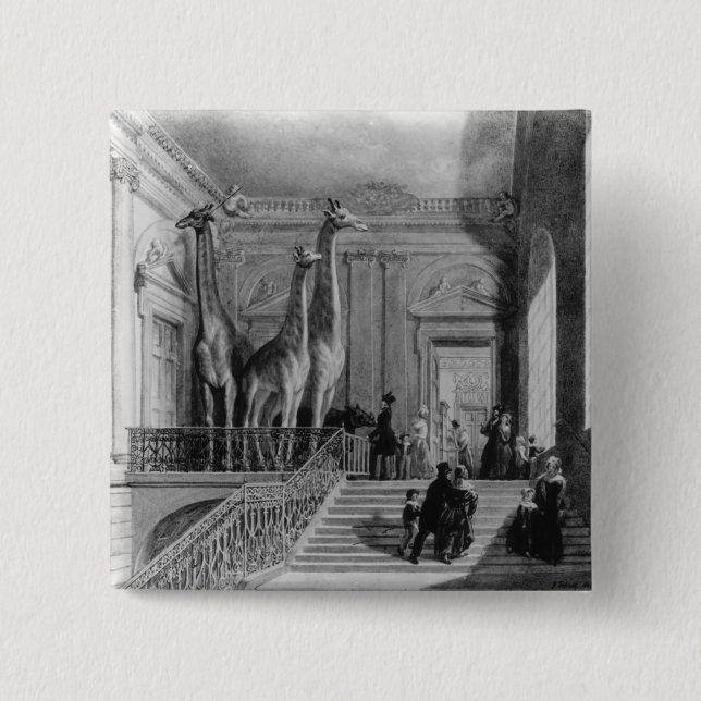 Bóton Quadrado 5.08cm Girafas na escadaria nos Ingleses (Frente)