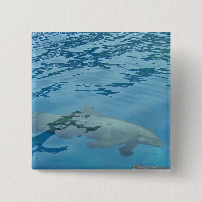 Bóton Quadrado 5.08cm Golfinho Deslizando Sob a Água Azul (Frente)