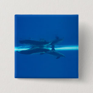 Bóton Quadrado 5.08cm Golfinhos e reflexões