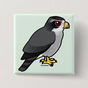 Bóton Quadrado 5.08cm Goshawk do norte