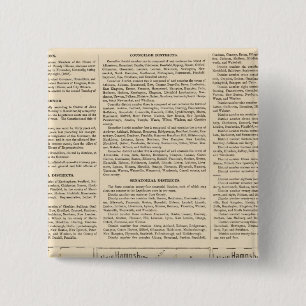 Bóton Quadrado 5.08cm governo de Estado de New Hampshire