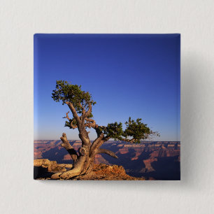 Bóton Quadrado 5.08cm Grand Canyon, Arizona, EUA