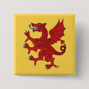 Bóton Quadrado 5.08cm Grânulos De Dragão