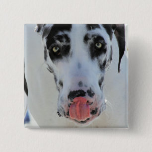 Bóton Quadrado 5.08cm Great dane - Harlequin - minha língua toca em meu