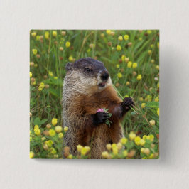 Bóton Quadrado 5.08cm Groundhog Pose