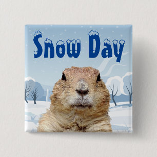 Bóton Quadrado 5.08cm Groundhog Snow Day