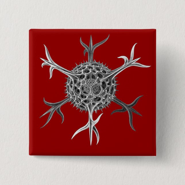 Bóton Quadrado 5.08cm Haeckel (Frente)