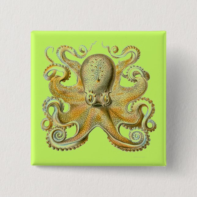 Bóton Quadrado 5.08cm Haeckel Octopus (Frente)