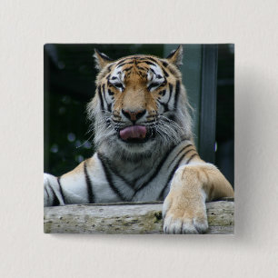 Bóton Quadrado 5.08cm HAMbWG - Botão Quadrado - Tigre