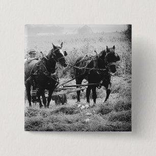 Bóton Quadrado 5.08cm Hay Time in black and White