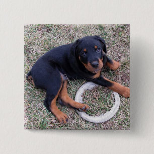 Bóton Quadrado 5.08cm Heidi Rottweiler Botão "Inocente"
