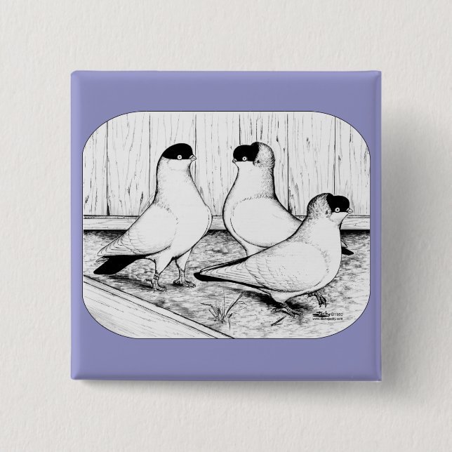 Bóton Quadrado 5.08cm Helmet Pigeon Trio (Frente)