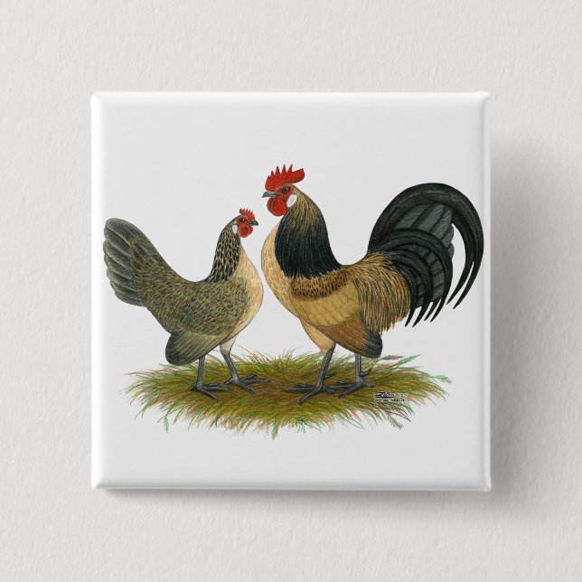 Bóton Quadrado 5.08cm Holandês Bantam: Codorniz Azul (Frente)